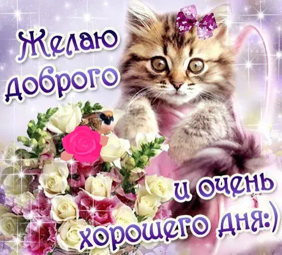 Открытка Хорошего дня - Открытка с котенком и цветами | Красивая открытка #35