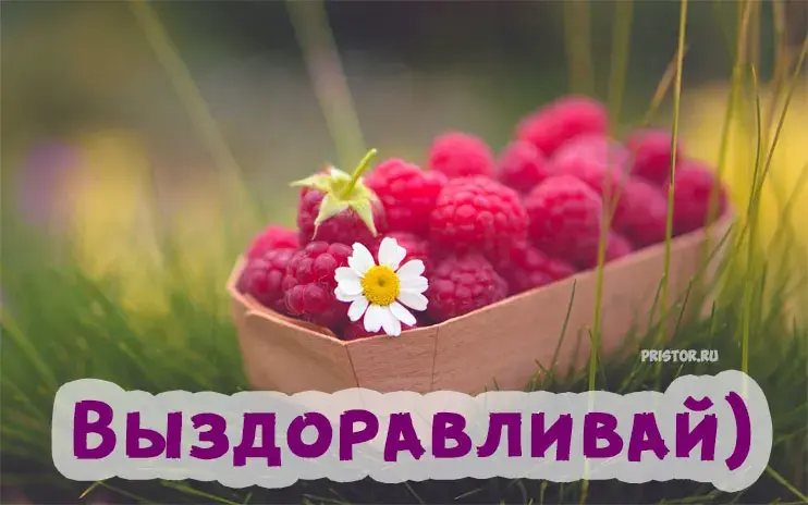 Открытка Выздоравливай - Открытка с малиной и ромашкой | Красивая открытка #105