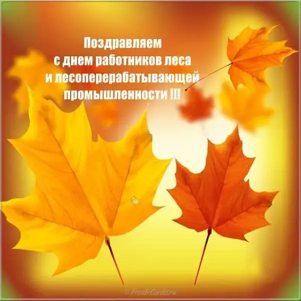 Открытка С днём работника леса - Открытка с желтыми листьями | Красивая открытка #53