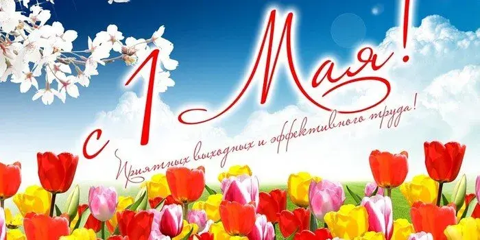 Открытка 1 мая - Открытка с тюльпанами и подснежниками | Красивая открытка #74