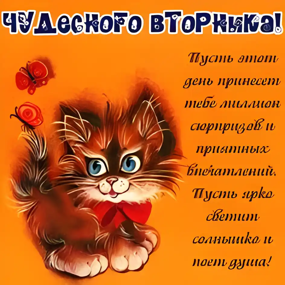 Открытка Дни недели - Открытка с рыжим котенком в бантике | Красивая открытка #80
