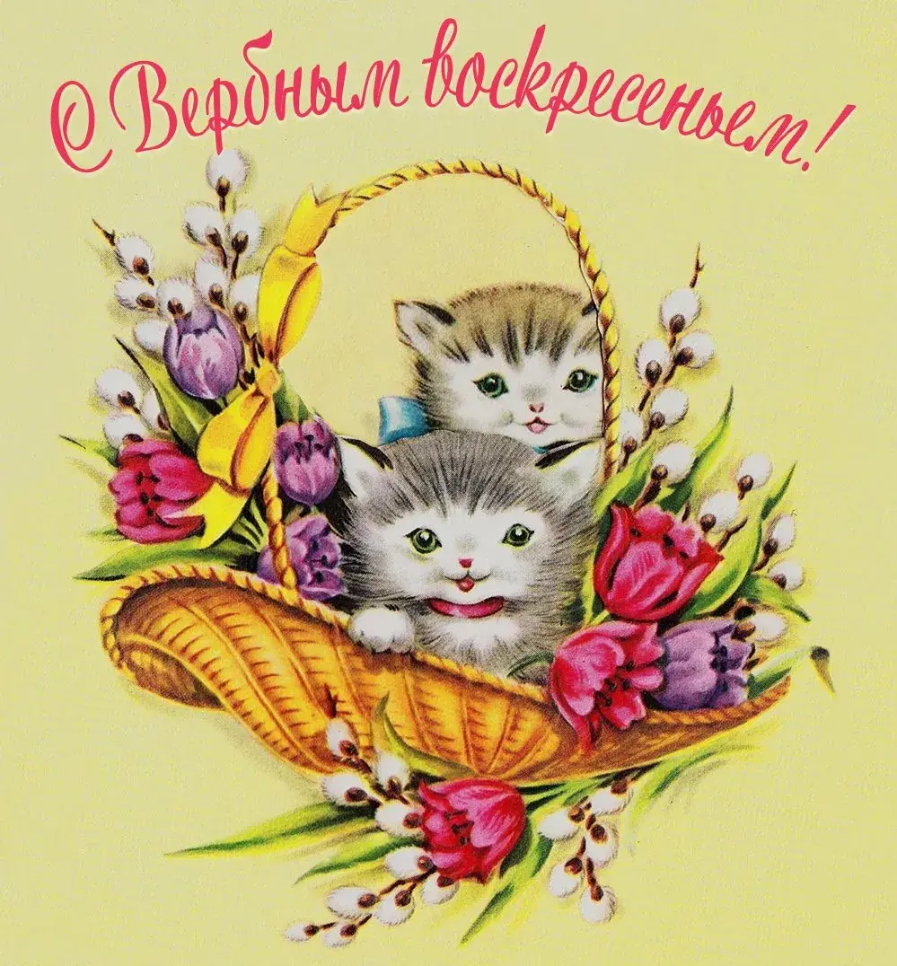 Открытка С вербным воскресеньем - Открытка с котятами в корзине и цветами | Красивая открытка #152