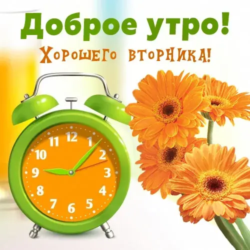 Открытка С вторником - Открытка с будильником и цветами: доброе утро | Красивая открытка #36