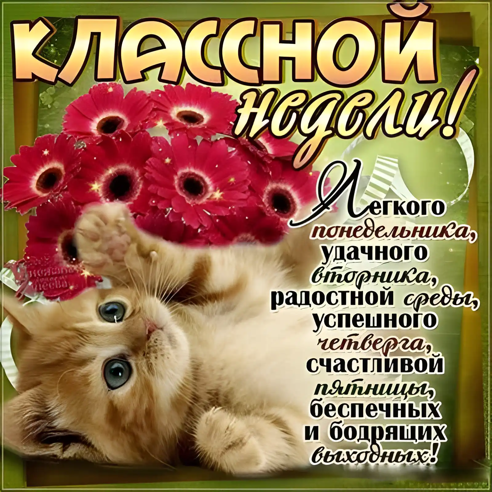 Открытка Выходные - Открытка с котенком и цветами | Красивая открытка #62