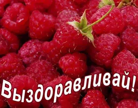 Открытка С ягодами - Открытка с сочной клубникой  Праздничная открытка | Красивая открытка #36