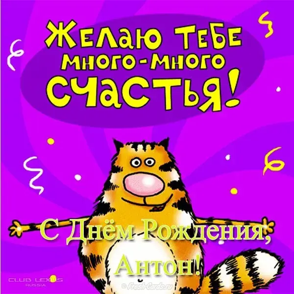Открытка открытки с именем Антон  - Открытка с днем рождения: веселый кот в шляпе | Красивая открытка #105