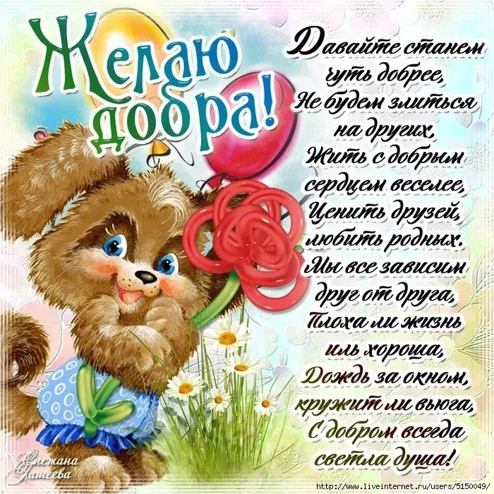 Открытка День доброты - Открытка с щенком: поздравления с праздником | Красивая открытка #146