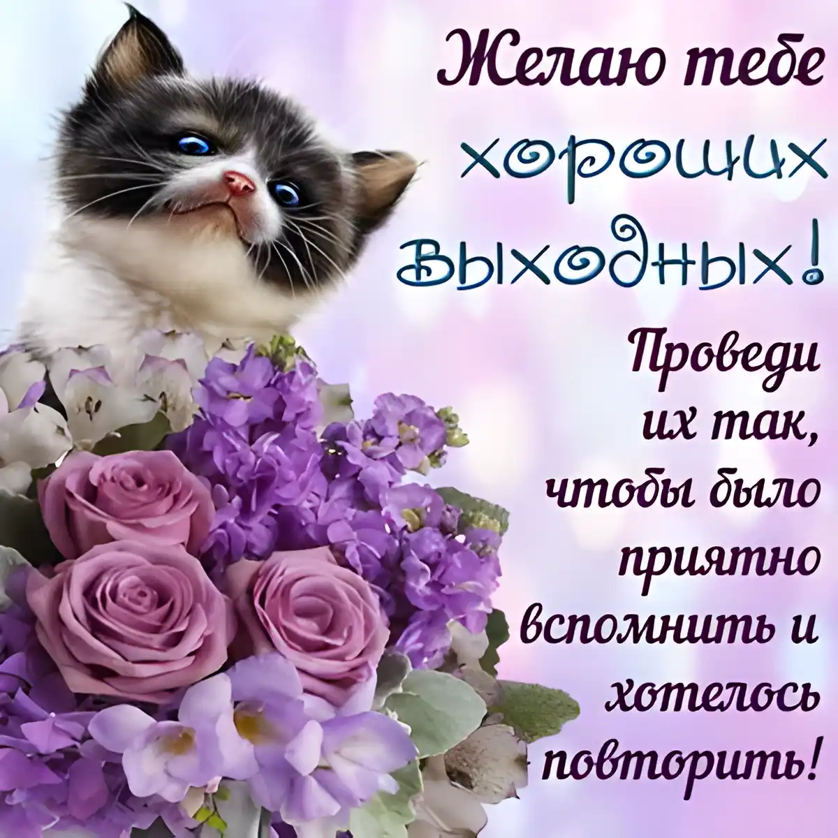 Открытка Хороших выходных - Открытка с котенком и цветами | Красивая открытка #24