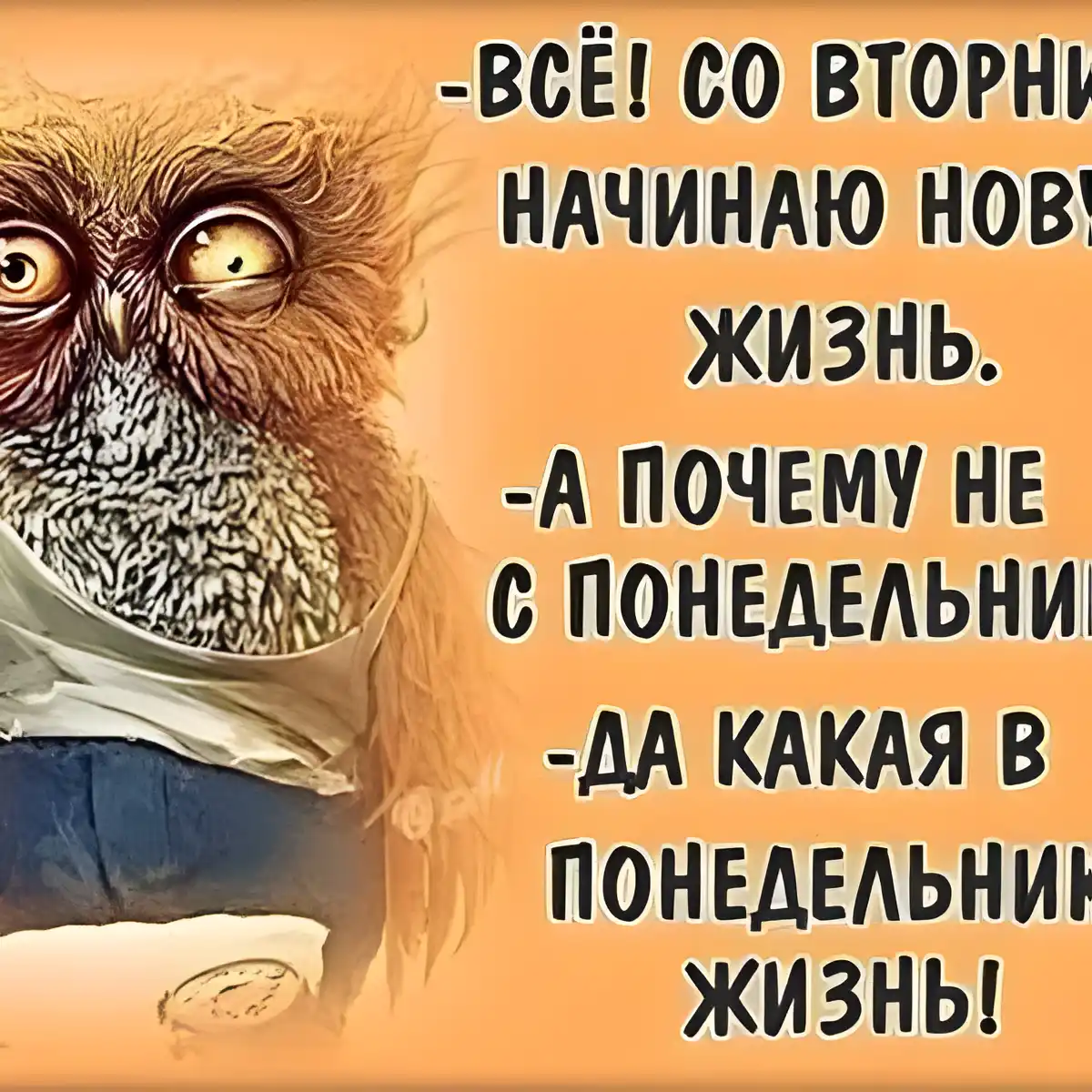 Открытка Открытки на вторник - Сова на открытке: поздравление, добрые пожелания | Красивая открытка #195