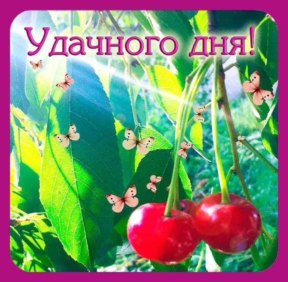 Открытка Удачного дня - Открытка с вишней и бабочками  С Днем Рождения! | Красивая открытка #21