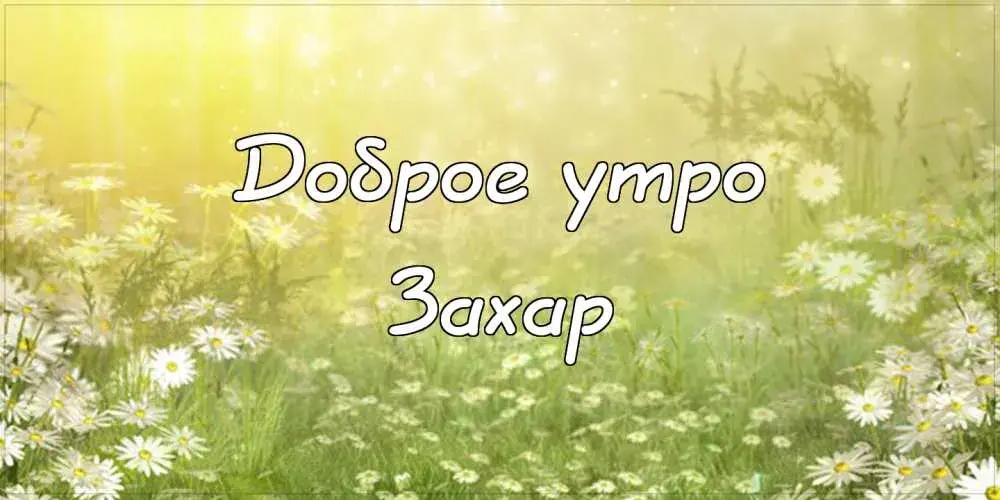 Открытка открытки с именем Захар - Поле с ромашками. Открытка с цветами. | Красивая открытка #38