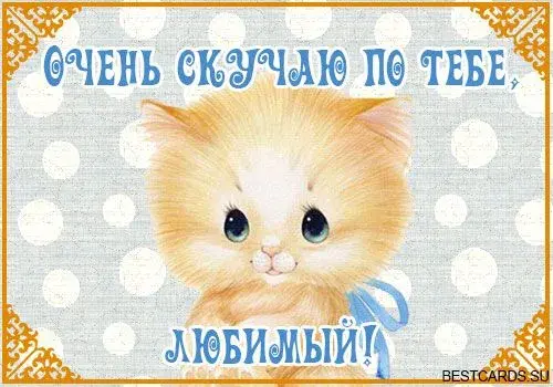 Открытка Скучаю - Открытка с котенком в галстуке | Красивая открытка #4