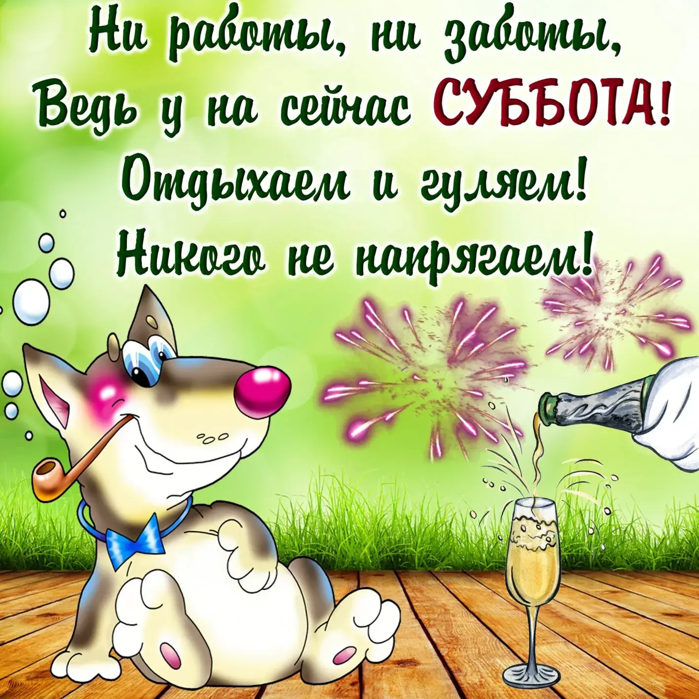 Открытка Открытки на субботу - Собака с шампанским и фейерверками | Красивая открытка #19