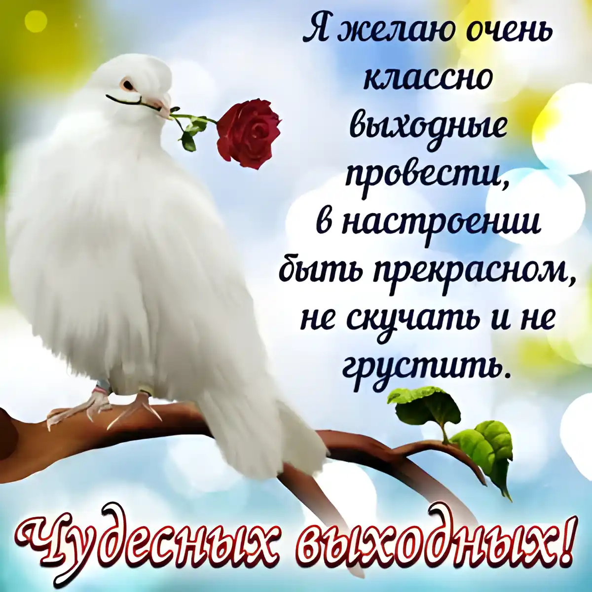 Открытка Хороших выходных - Белый голубь с красной розой на ветке | Красивая открытка #22