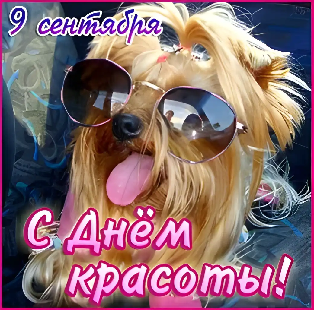 Открытка С днём красоты - Собака в очках: Прикольная открытка с 9 сентября | Красивая открытка #51