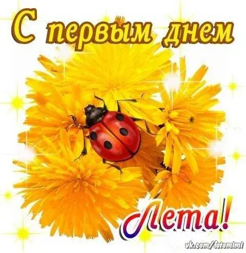 Открытка С одуванчиками - Открытка с одуванчиками и божьей коровкой | Красивая открытка #46