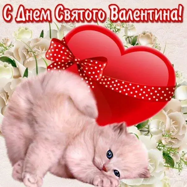Открытка День влюблённых 14 февраля - С Днём Валентина: милый кот и любовь! | Красивая открытка #31