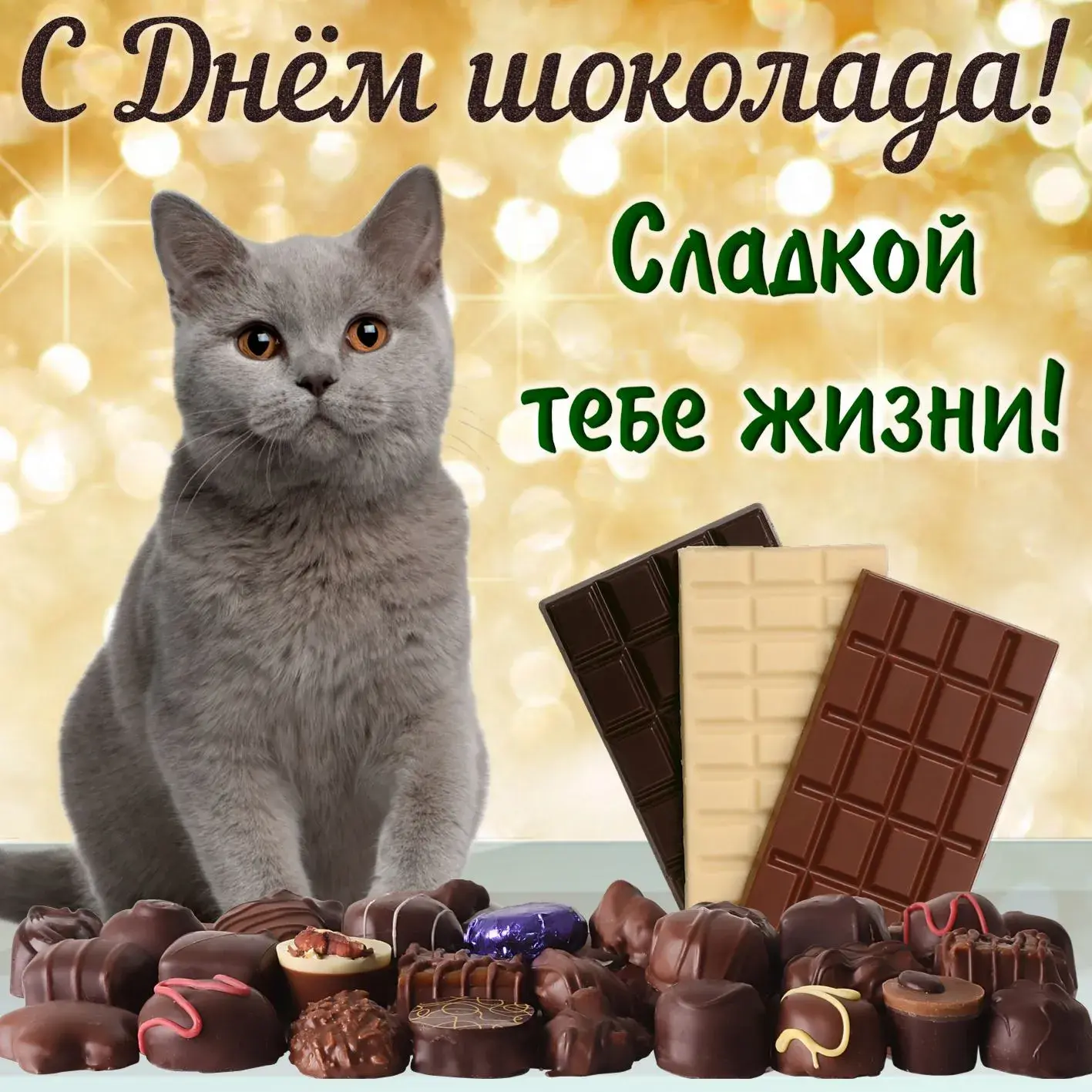 Открытка День шоколада - Открытка с котенком и шоколадом  С Днем! | Красивая открытка #108