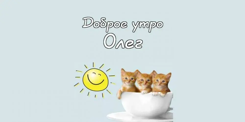 Открытка Открытки с именем Олег  - Котики в чашке: Открытка с милыми котятами | Красивая открытка #124