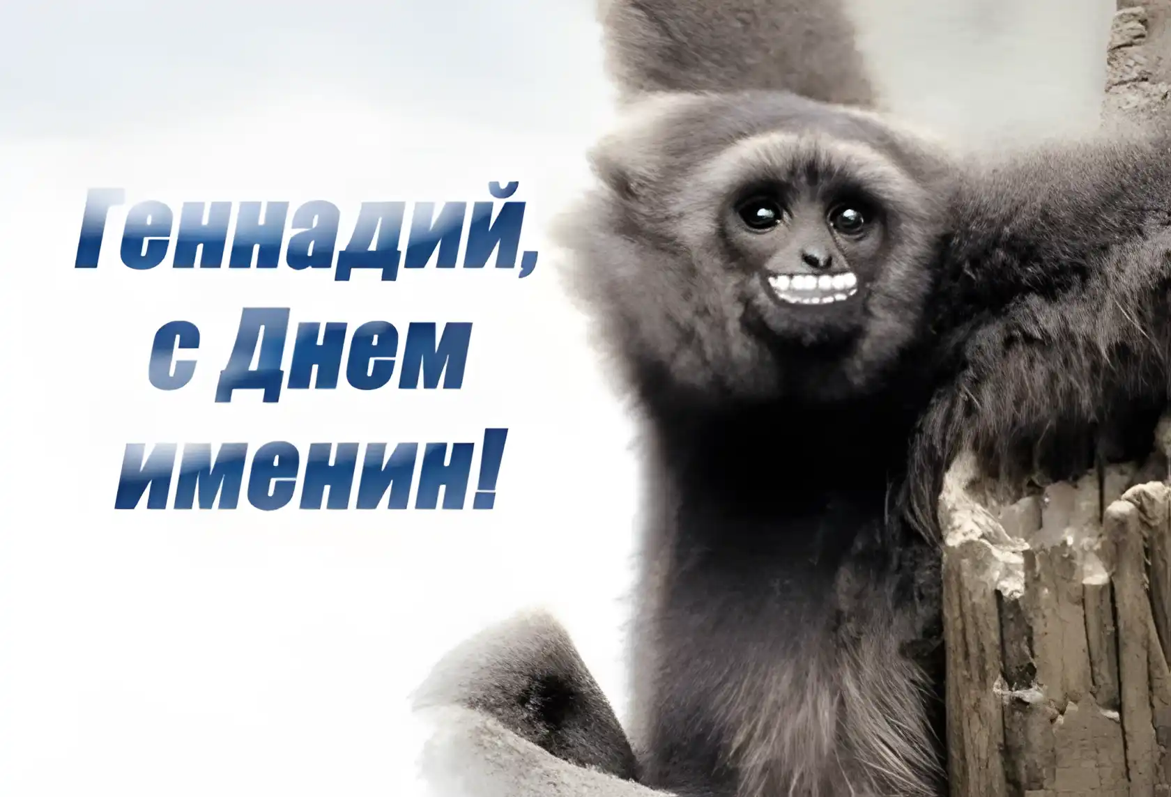Открытка открытки с именем Геннадий - Открытка с лемуром на День рождения | Красивая открытка #104