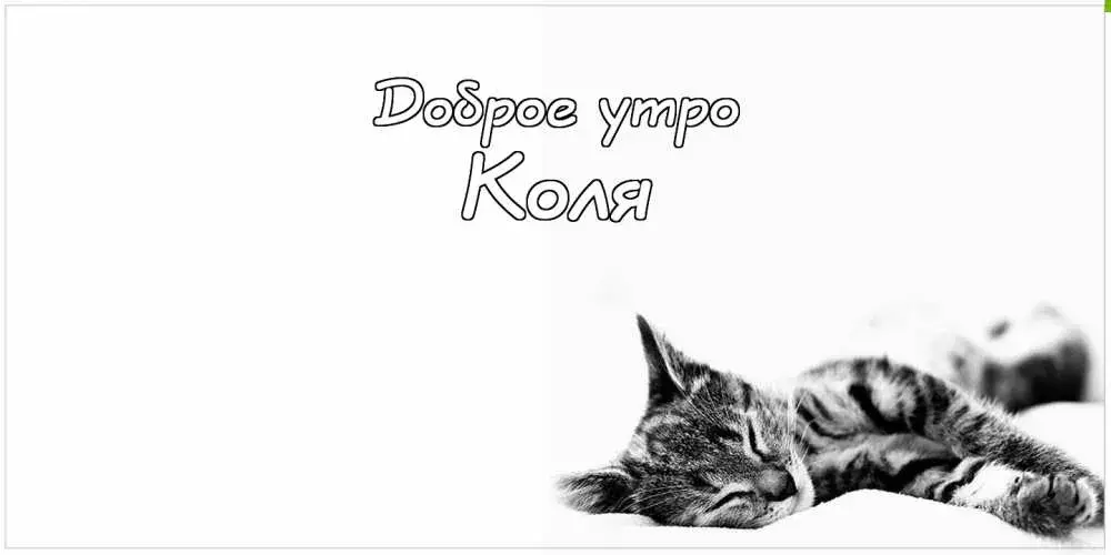Открытка Открытки с именем Николай   - Спящий котенок: Черно-белая открытка | Красивая открытка #110
