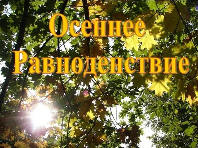 Открытка Открытки с днем осеннего равноденствия  - Листья на деревьях: осенний фон | Красивая открытка #13