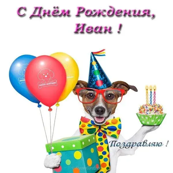 Открытка открытки с именем Иван - Открытка с собакой на дне рождения | Красивая открытка #49