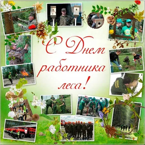 Открытка С днём работника леса - С Днём лесовода: открытка с поздравлением и лесным фоном | Красивая открытка #8