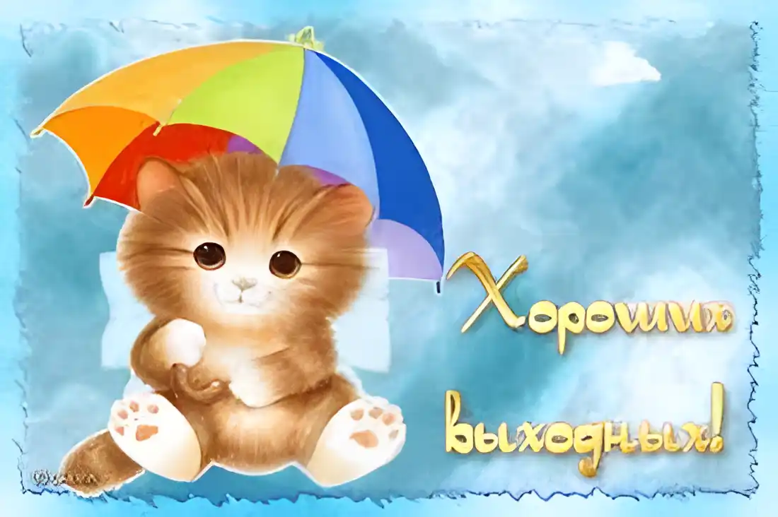 Открытка Открытки хороших выходных - Открытка с котенком под зонтом - поздравления | Красивая открытка #244
