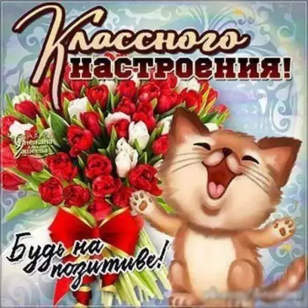 Открытка хорошего настроения - Поздравления с праздником! | Красивая открытка #110