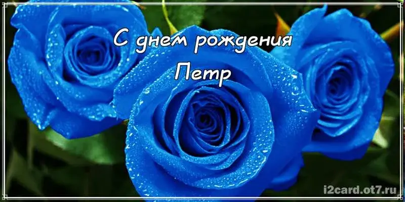 Открытка Открытки с именем Петр - Голубые розы: открытка с днем рождения | Красивая открытка #161