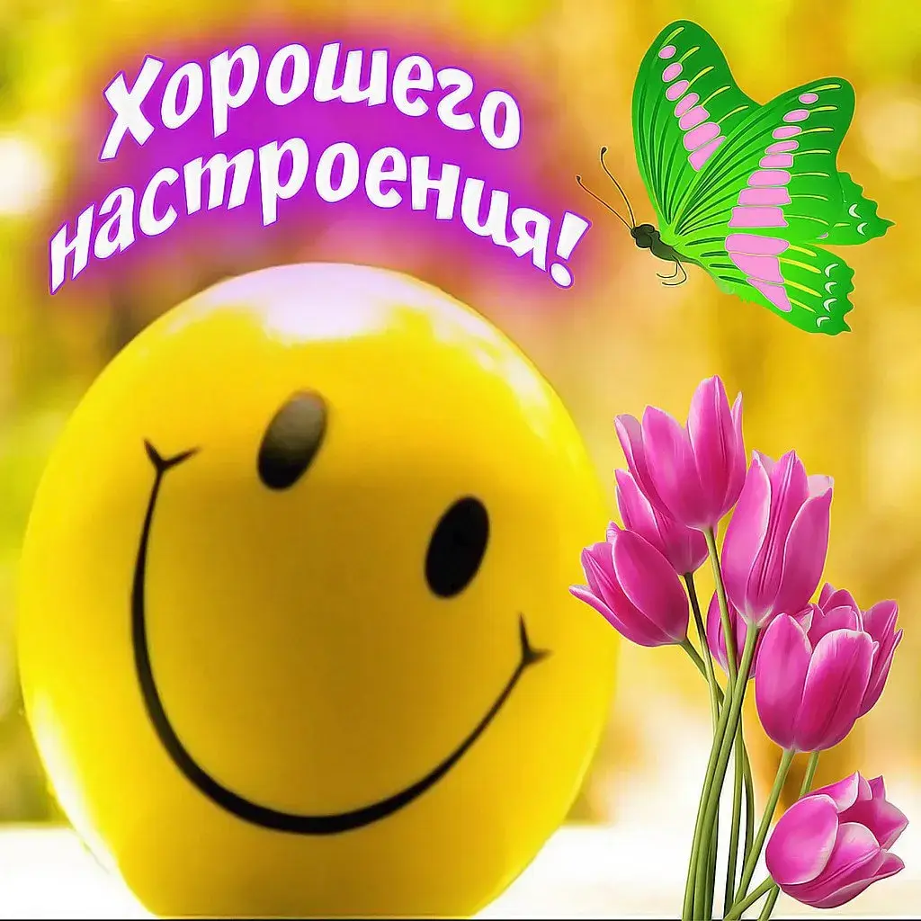 Открытка хорошего настроения - Цветы и бабочка: яркая открытка с улыбкой | Красивая открытка #147