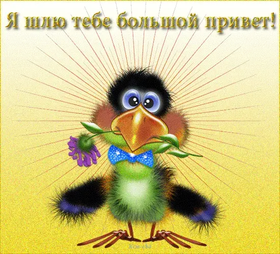 Открытка Открытки с приветствиями  - Птичка с цветком: Привет, открытка, анимация | Красивая открытка #70