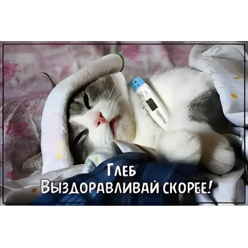 Открытка открытки с именем Глеб - Котенок с градусником: Открытка с милым питомцем | Красивая открытка #187