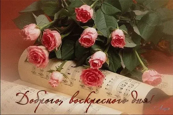 Открытка Открытки на воскресенье - Открытка с розами и нотами: Красивая музыкальная поздравительная открытка | Красивая открытка #55