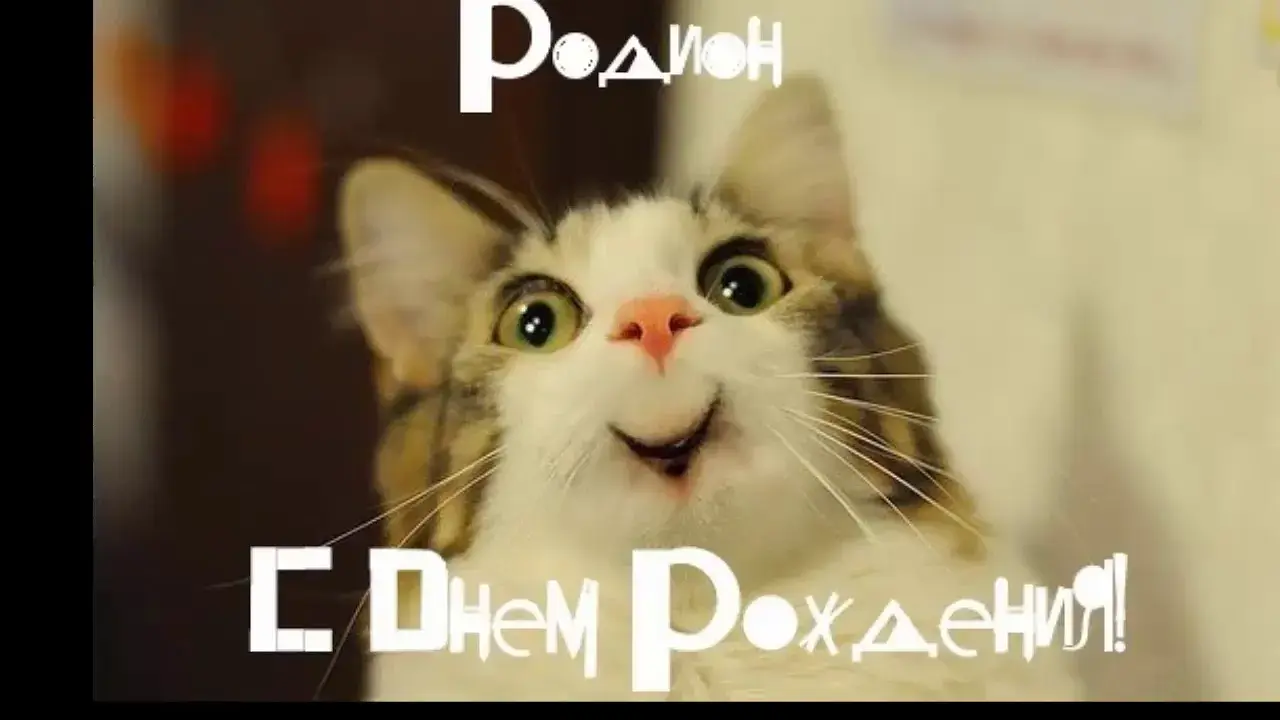 Открытка Открытки с именем Родион  - Открытка с котенком: С Днем Рождения! | Красивая открытка #35