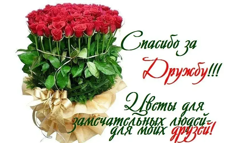 Открытка Спасибо за дружбу - Букет роз: поздравления с благодарностью | Красивая открытка #13