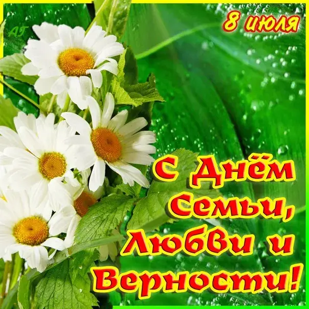 Открытка С ромашками - Поздравление с Днём семьи: ромашки на зелени | Красивая открытка #118