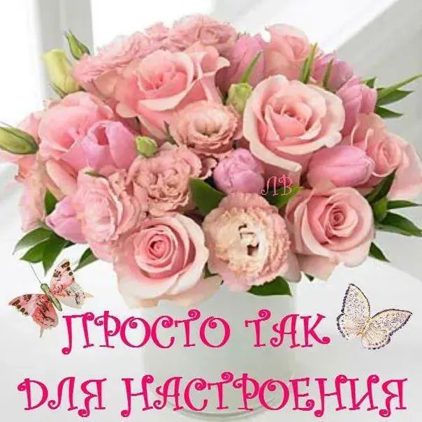 Открытка Просто так - Букет розовых роз и бабочки | Красивая открытка #19