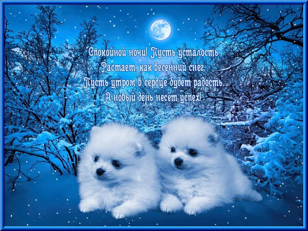 Открытка Спокойной ночи - Две щенка в снегу: праздничная открытка  Снег и радость | Красивая открытка #189
