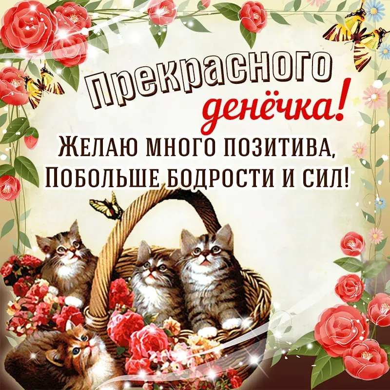 Открытка прекрасного дня! - Коты в корзине с цветами: открытка с кошками  С днем! | Красивая открытка #8