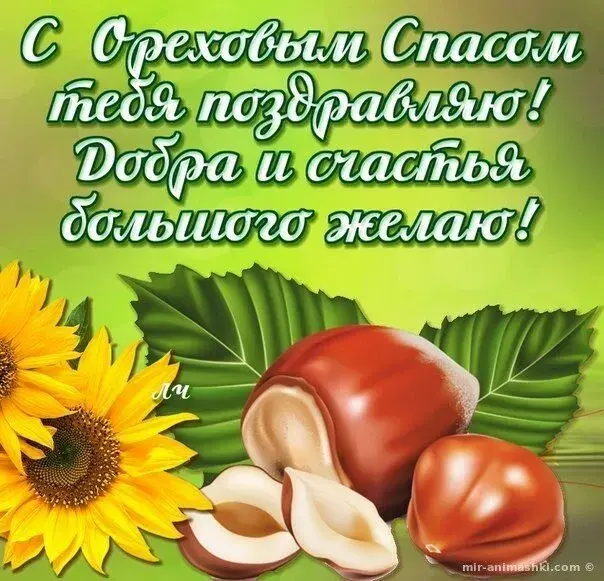 Открытка Ореховый спас. - Подсолнух и орехи: открытка с цветами и плодами | Красивая открытка #77