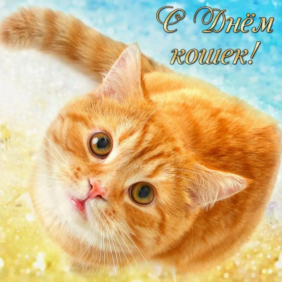 Открытка День Кошек - Рыжий кот крупным планом | Красивая открытка #4