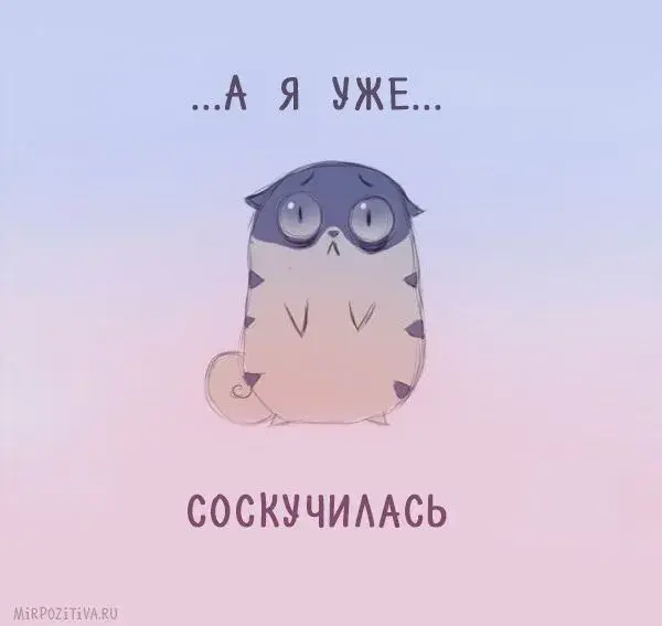 Открытка Скучаю - Открытка с грустным котиком. Симпатичная кошечка. | Красивая открытка #243