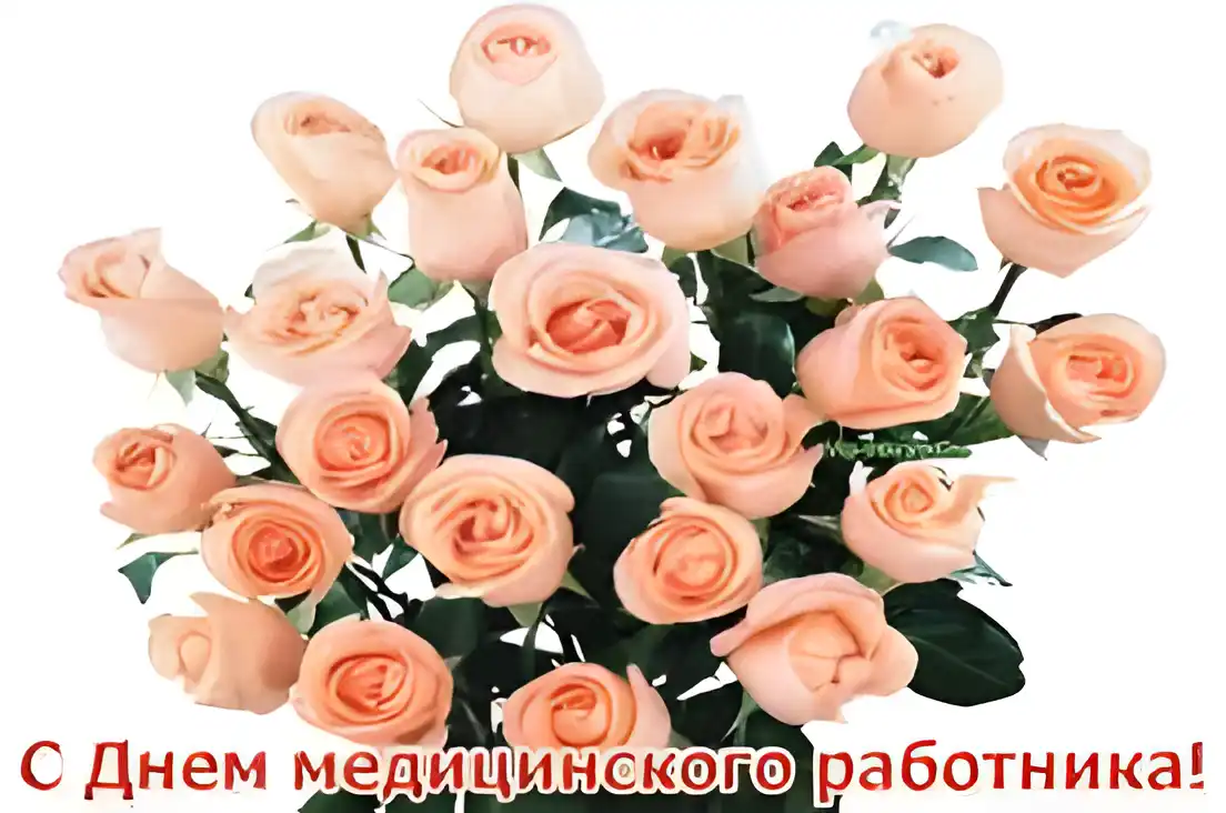Открытка День медицинского работника - Открытка с нежными розовыми розами | Красивая открытка #200