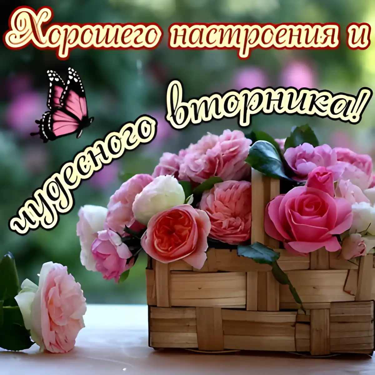 Открытка Открытки на вторник - Розы в плетёной корзине: нежная открытка с бабочкой | Красивая открытка #211