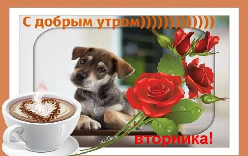 Открытка Доброе утро вторник - Собака и кофе: милая открытка с утра | Красивая открытка #28