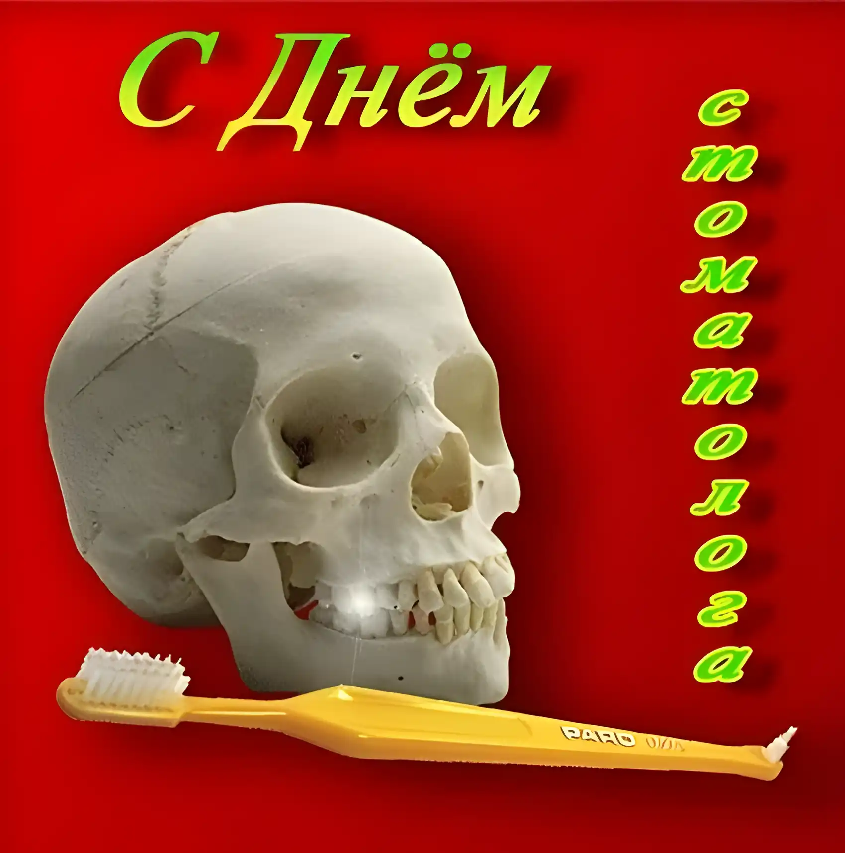 Открытка Открытки с днем стоматолога - Открытка с черепом и зубной щеткой | Красивая открытка #51