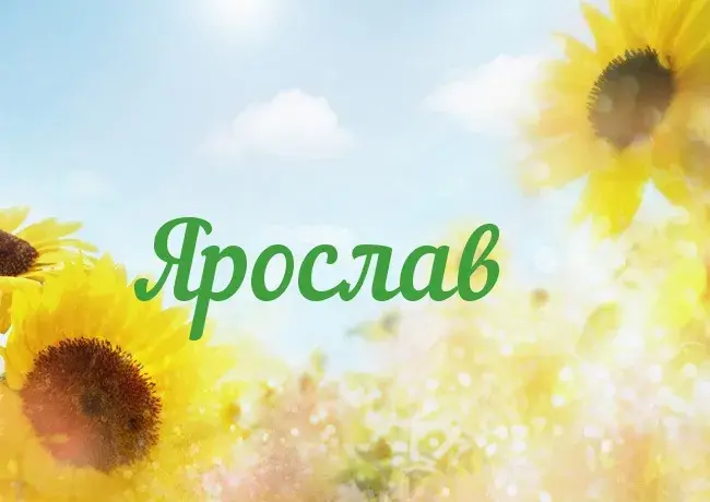 Открытка Открытки с именем Ярослав  - Открытка с подсолнухами: солнечное поздравление | Красивая открытка #149