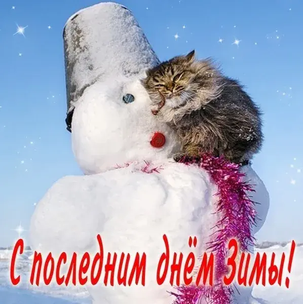 Открытка Открытки с последним днем зимы - Снег, кот, гирлянда: Новогодняя открытка | Красивая открытка #5